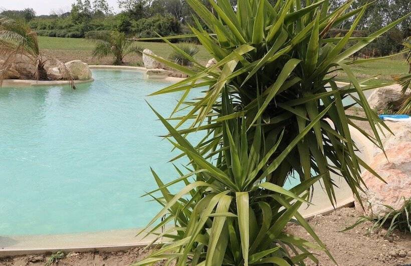 پانسیون Mas Des Cerisiers