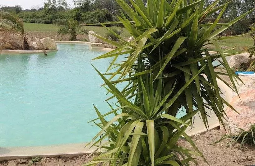 پانسیون Mas Des Cerisiers