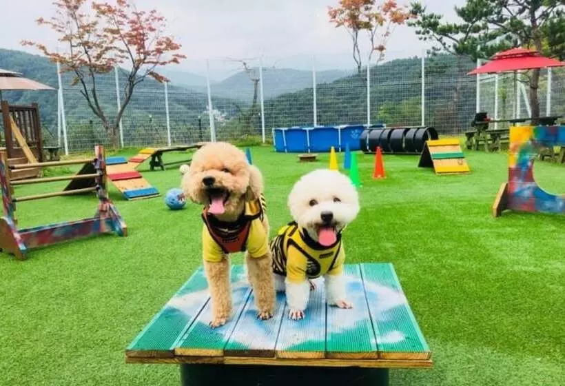 ペンション Yangpyeong Palace Resort