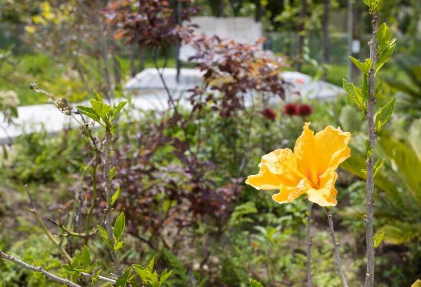 Residence O Sole Mio Pompei