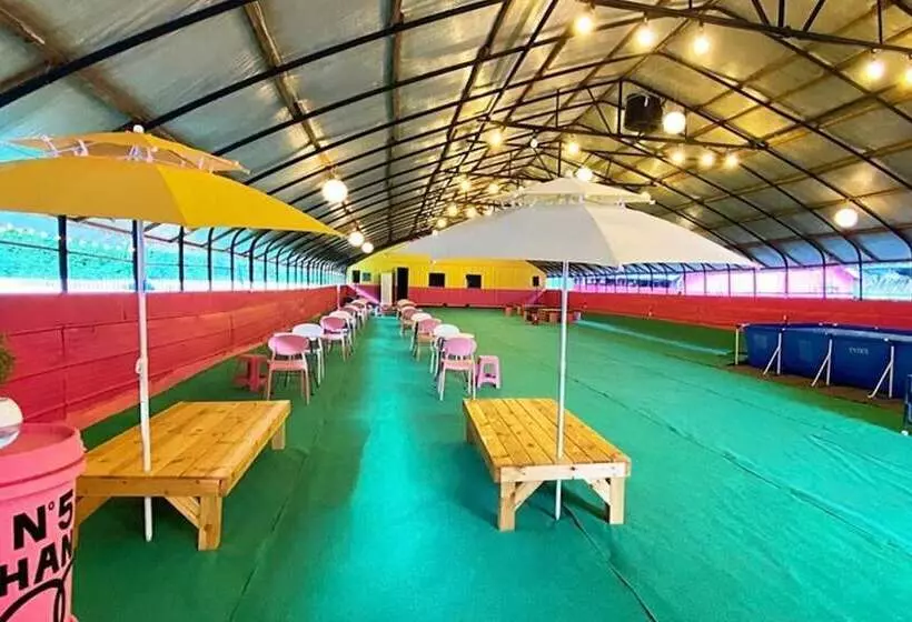 Gapyeong Thank You Dog Pension