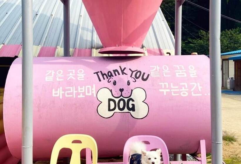 Gapyeong Thank You Dog Pension