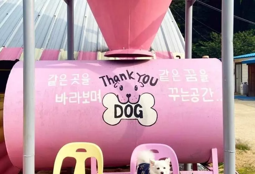 Gapyeong Thank You Dog Pension