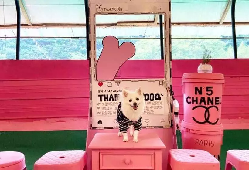 Gapyeong Thank You Dog Pension