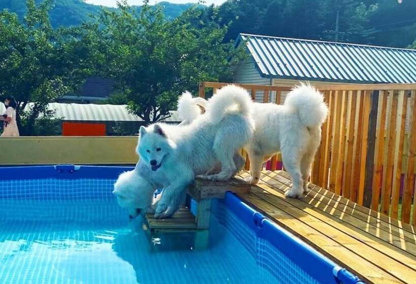 Gapyeong Thank You Dog Pension