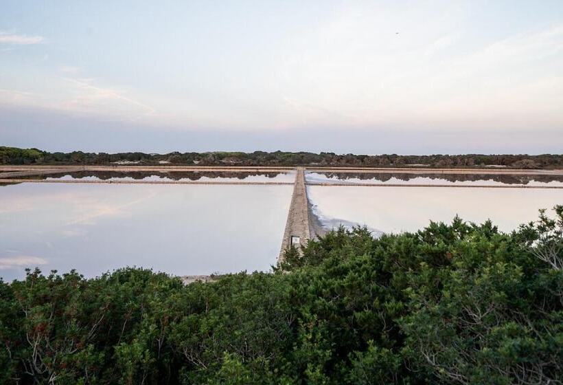 Cas Saliners Ses Illetes