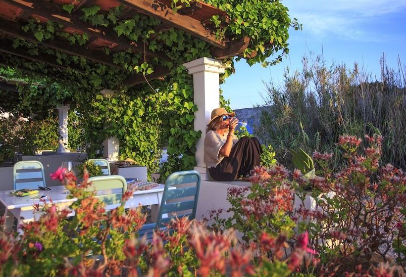 Cas Saliners Ses Illetes