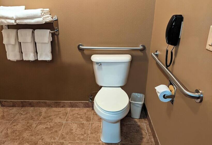 酒店 Cobblestone Inn & Suites   Denison | Majestic Hills