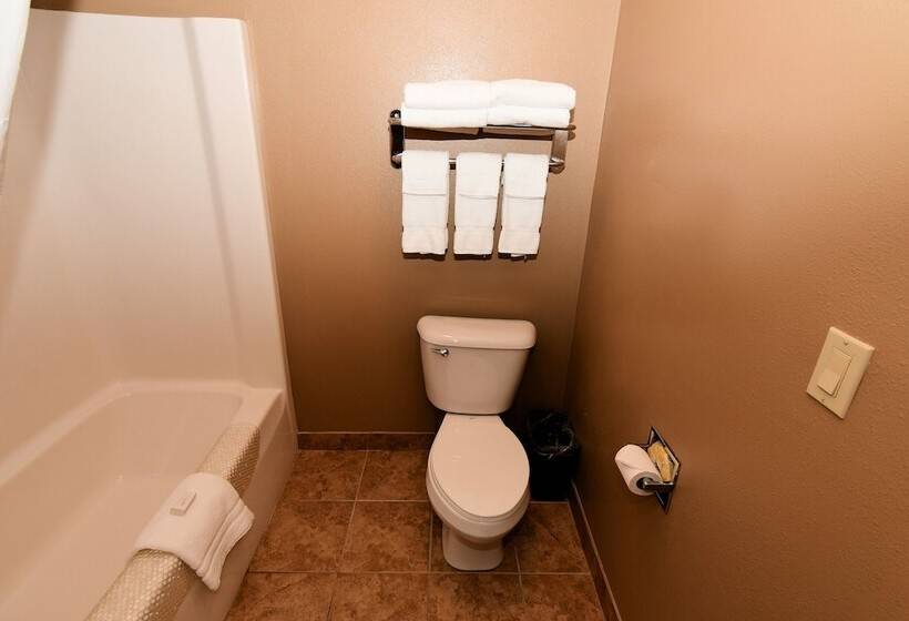 酒店 Cobblestone Inn & Suites   Denison | Majestic Hills