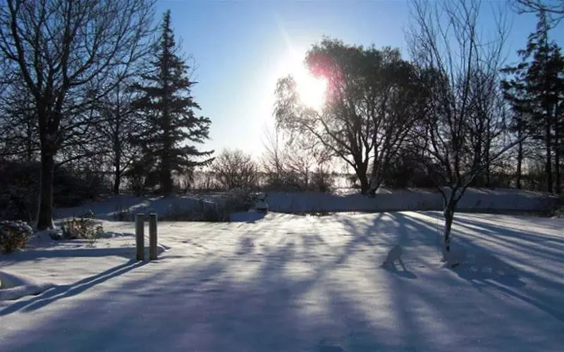 Отель Restaurant, Café Pharisäerhof Nordseeurlaub Mit Hund