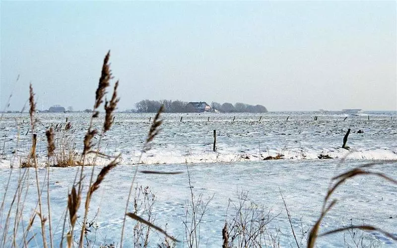 Отель Restaurant, Café Pharisäerhof Nordseeurlaub Mit Hund