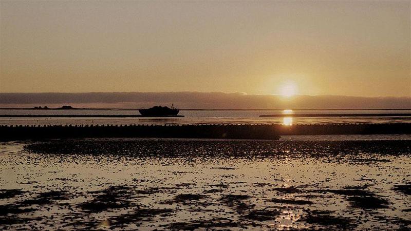 酒店 Restaurant, Café Pharisäerhof   Nordseeurlaub Mit Hund