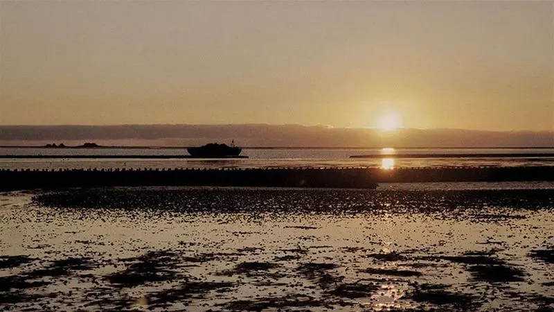 Отель Restaurant, Café Pharisäerhof Nordseeurlaub Mit Hund