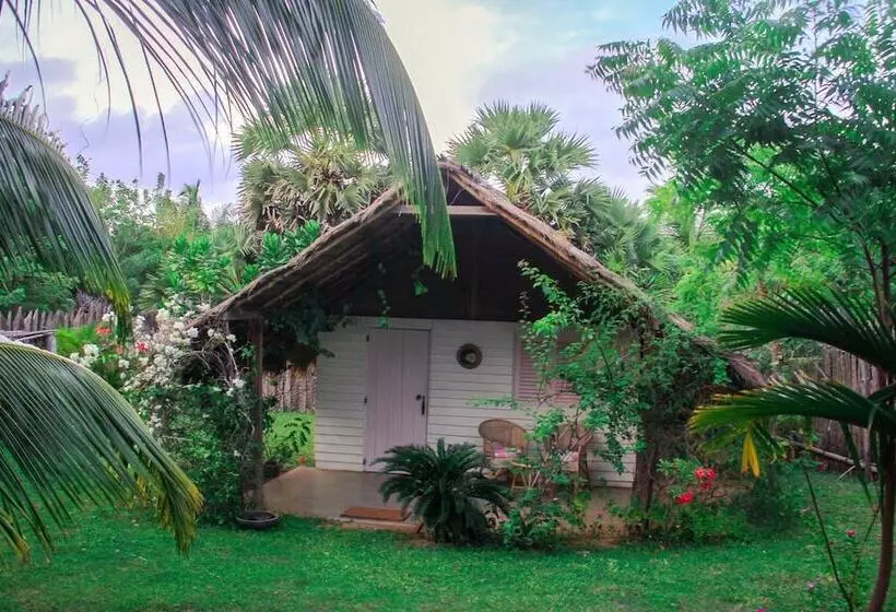 Курорт Palagama Beach