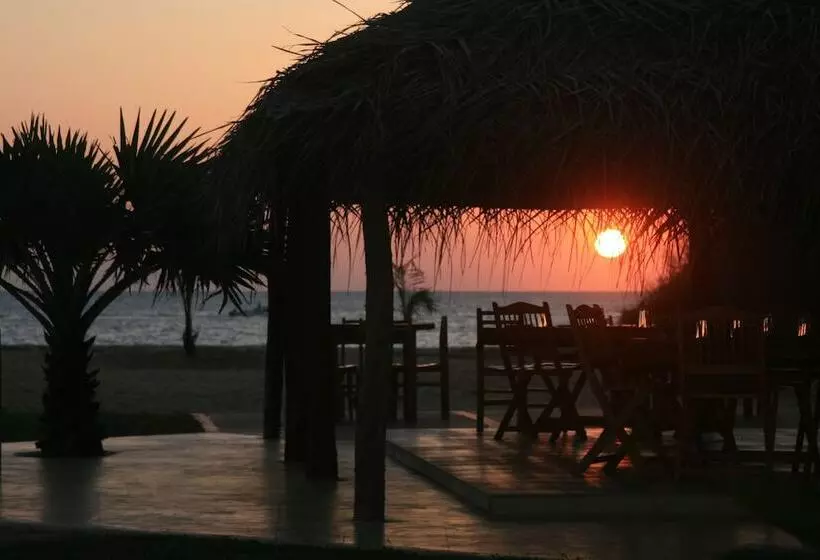 Курорт Palagama Beach