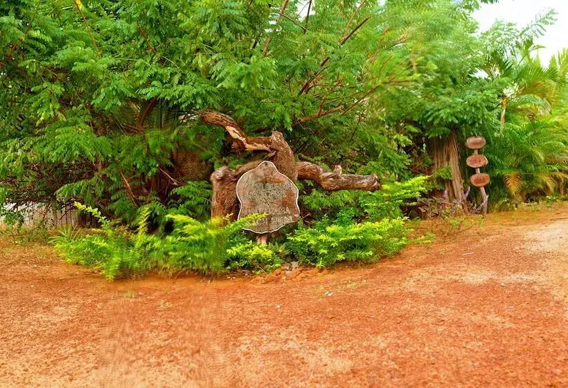 Курорт Palagama Beach