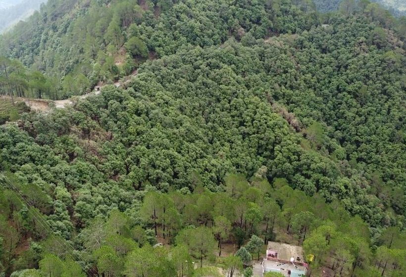 Hotell Blusalz Escapade Lansdowne