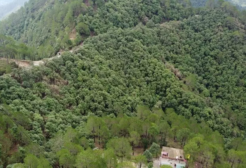 Hotelli Blusalz Escapade Lansdowne