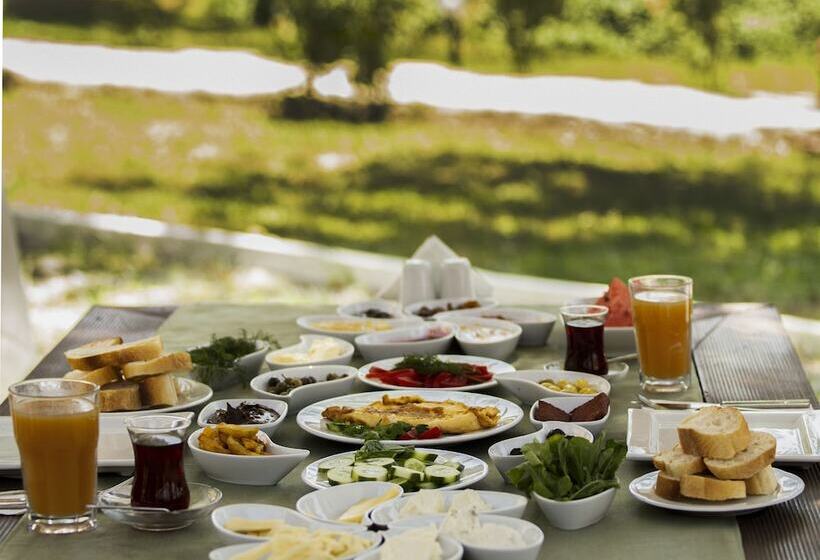 בית מלון כפרי Four Sides Bodrum Airport