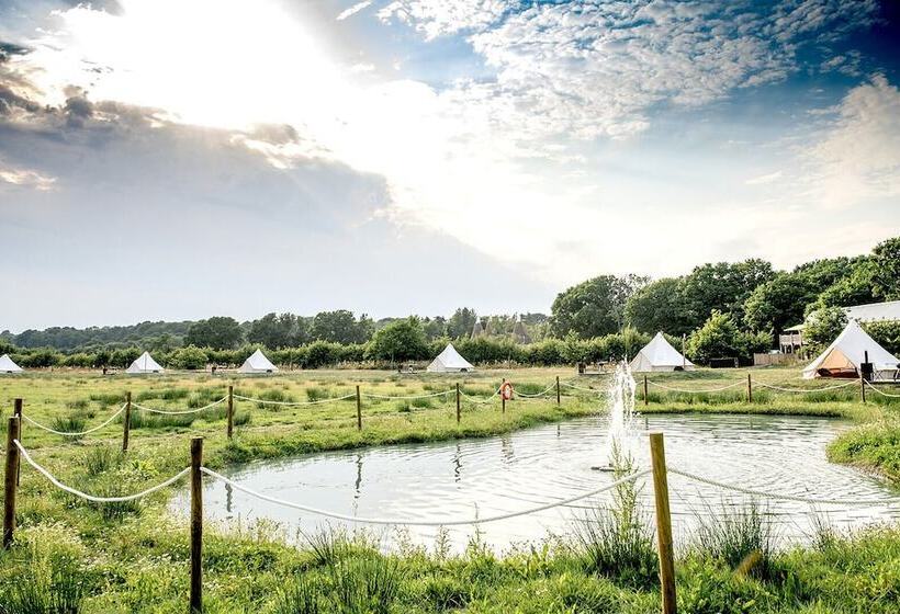 ホテル Oastbrook Glamping