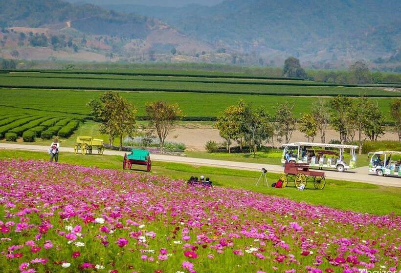 One Budget Hotel Chiangrai Stadium