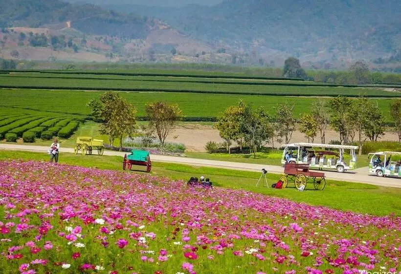 One Budget Hotel Chiangrai Stadium