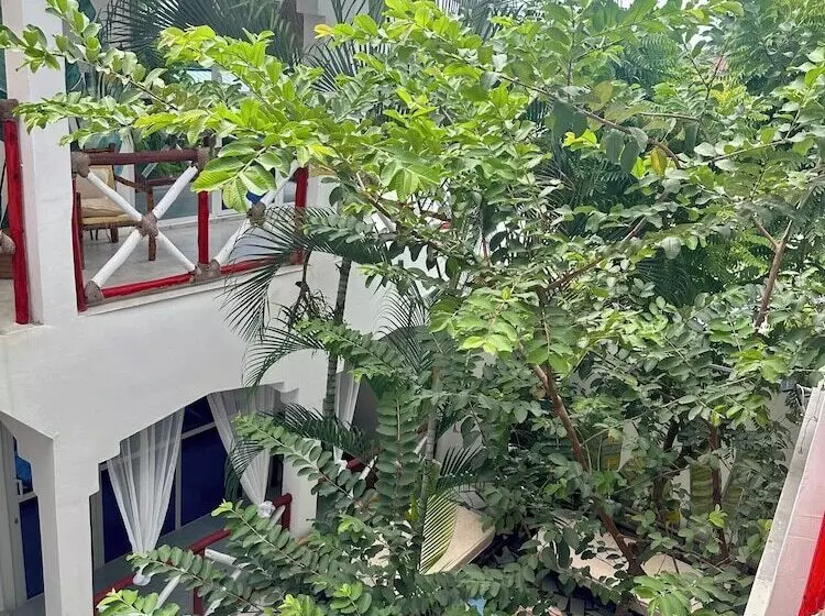 Hotelli Pole Pole House