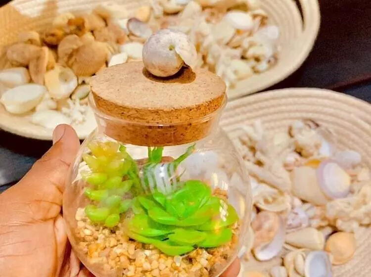 Hotelli Pole Pole House