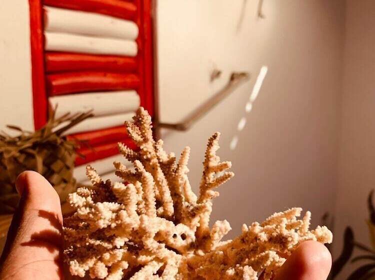 Hotel Pole Pole House