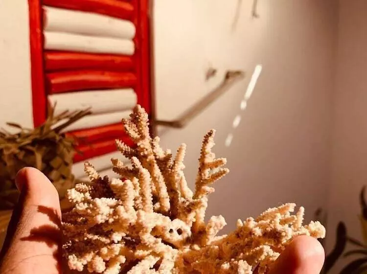 Hotelli Pole Pole House