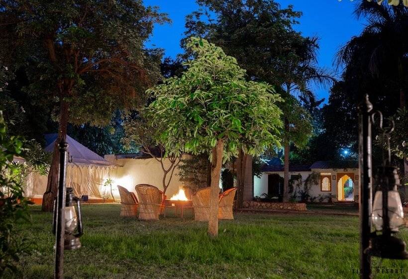 فندق Ranthambore Tiger Resort By Park Tree