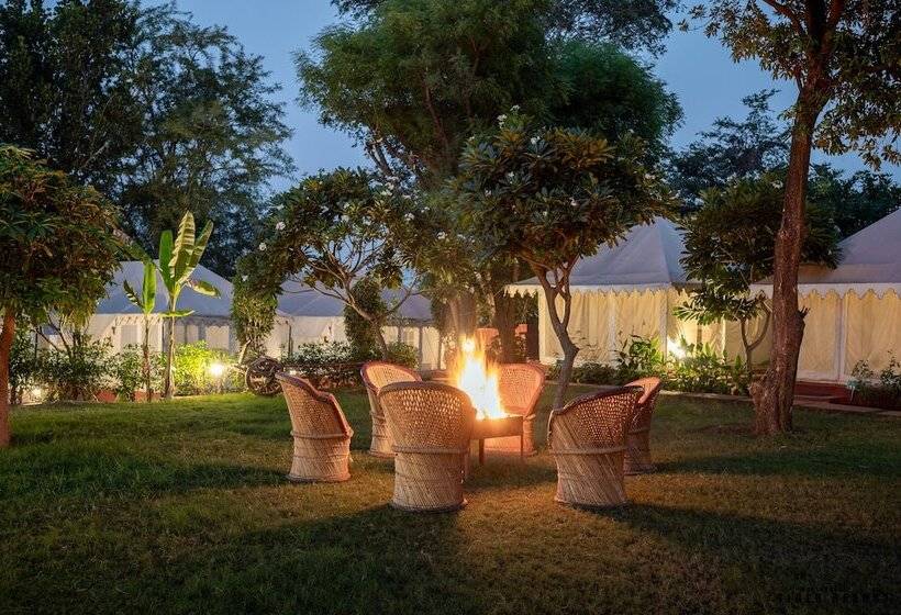 فندق Ranthambore Tiger Resort By Park Tree