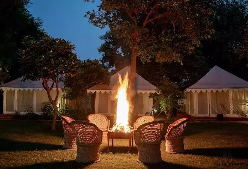 Hotelli Ranthambore Tiger Resort By Park Tree