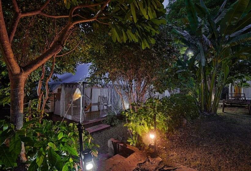 فندق Ranthambore Tiger Resort By Park Tree