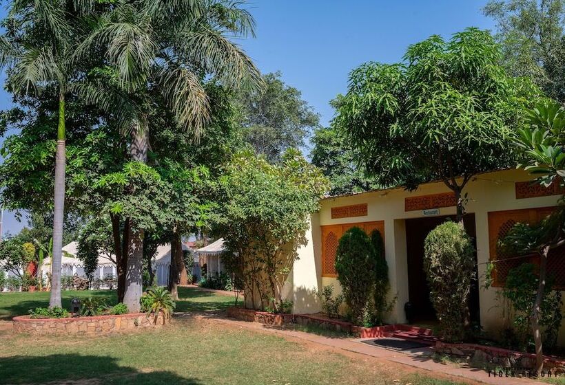 فندق Ranthambore Tiger Resort By Park Tree