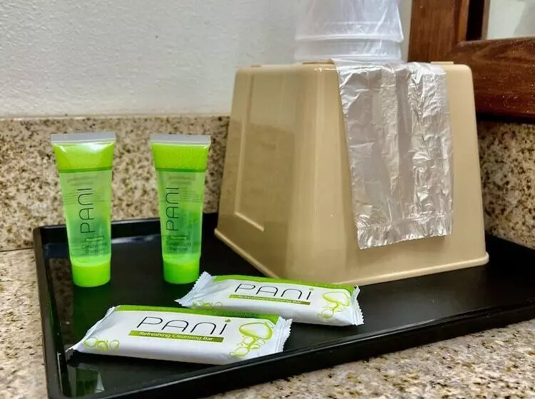 هتل Saffron Inn & Suites