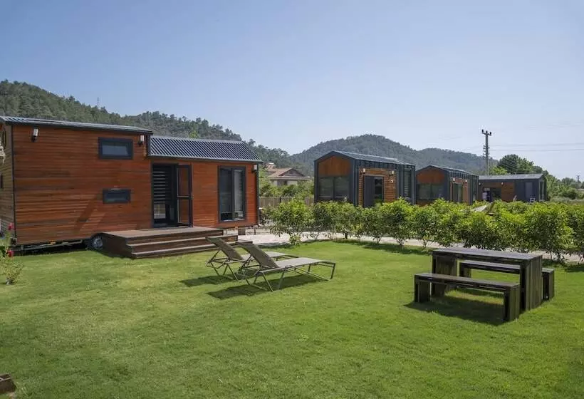 Kleva Houses