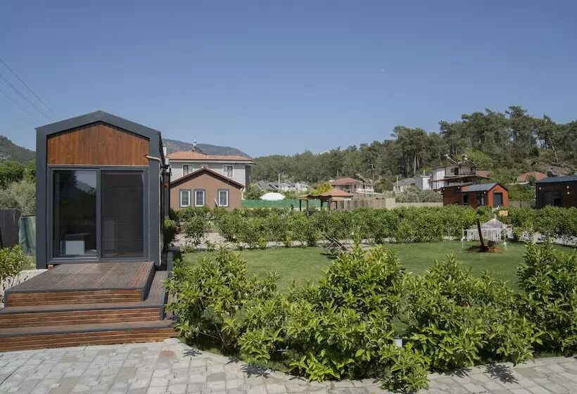 Kleva Houses