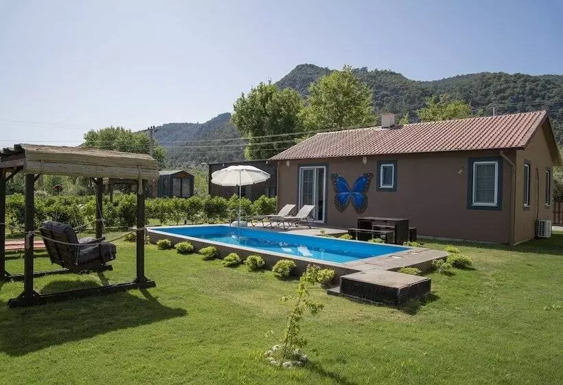 Kleva Houses