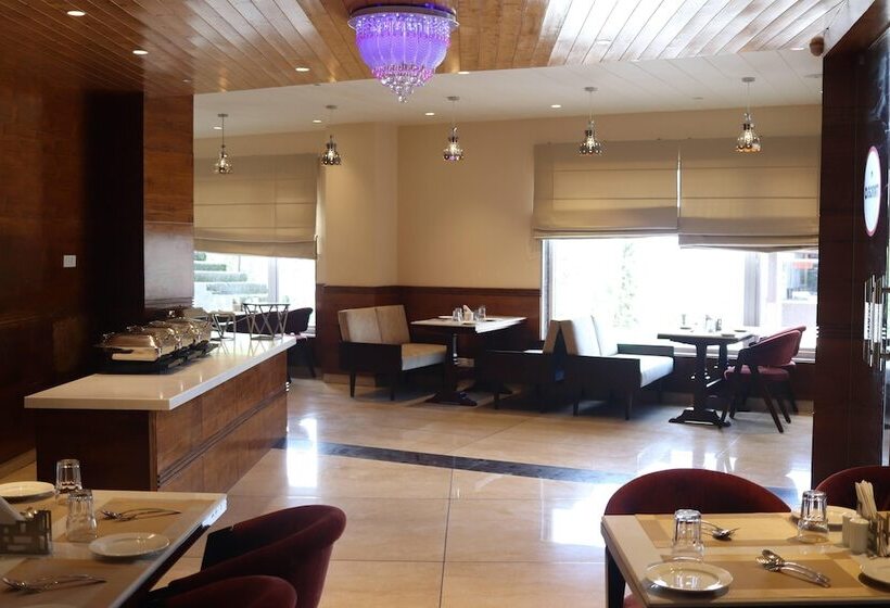 Mastiff Hotel Dalhousie