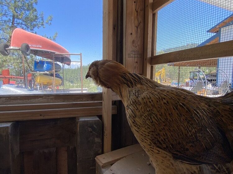 Мотель Columbia Point Resort