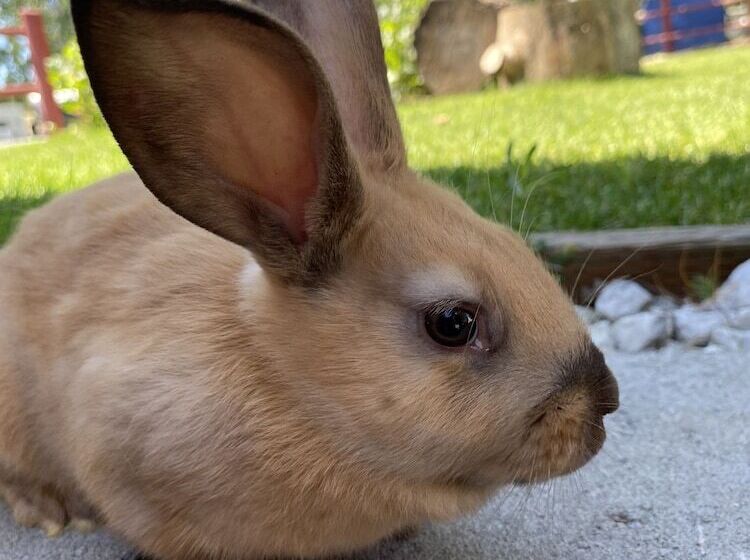 Мотель Columbia Point Resort