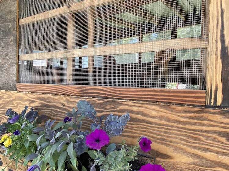 Мотель Columbia Point Resort