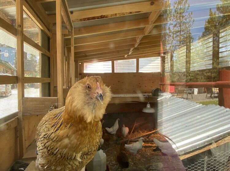 Мотель Columbia Point Resort