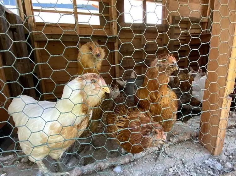 Motelli Columbia Point Resort