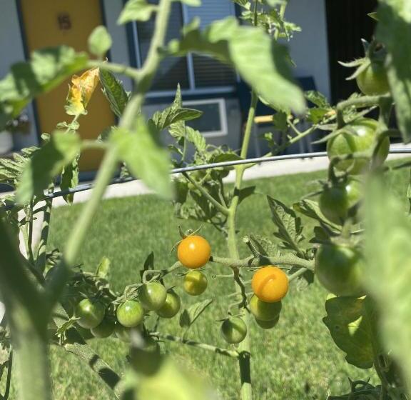 Мотель Columbia Point Resort