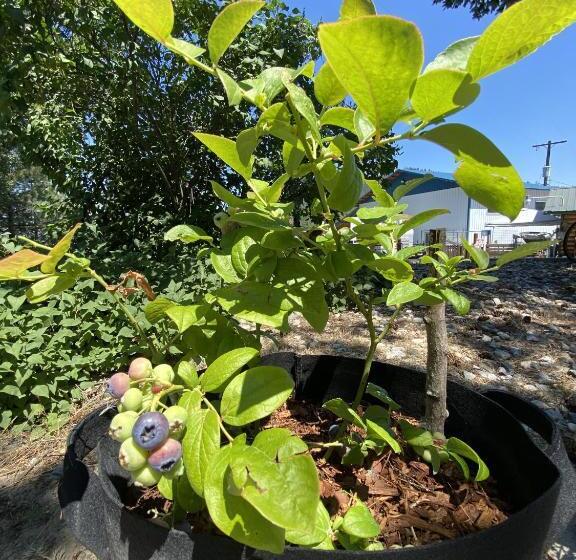 Мотель Columbia Point Resort