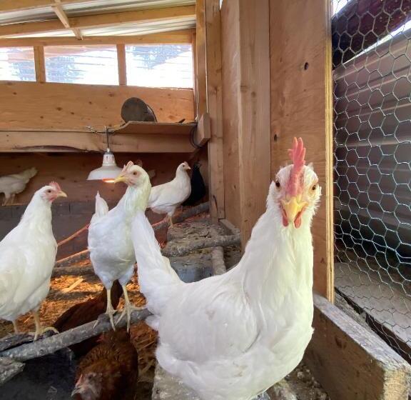 Мотель Columbia Point Resort