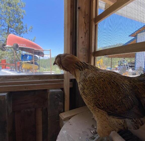 Мотель Columbia Point Resort