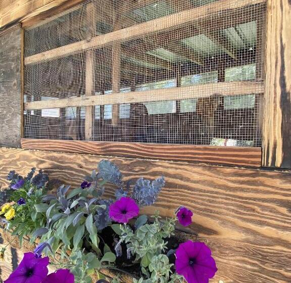 Мотель Columbia Point Resort